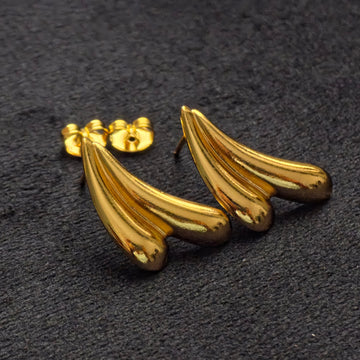 Western Earrings 21