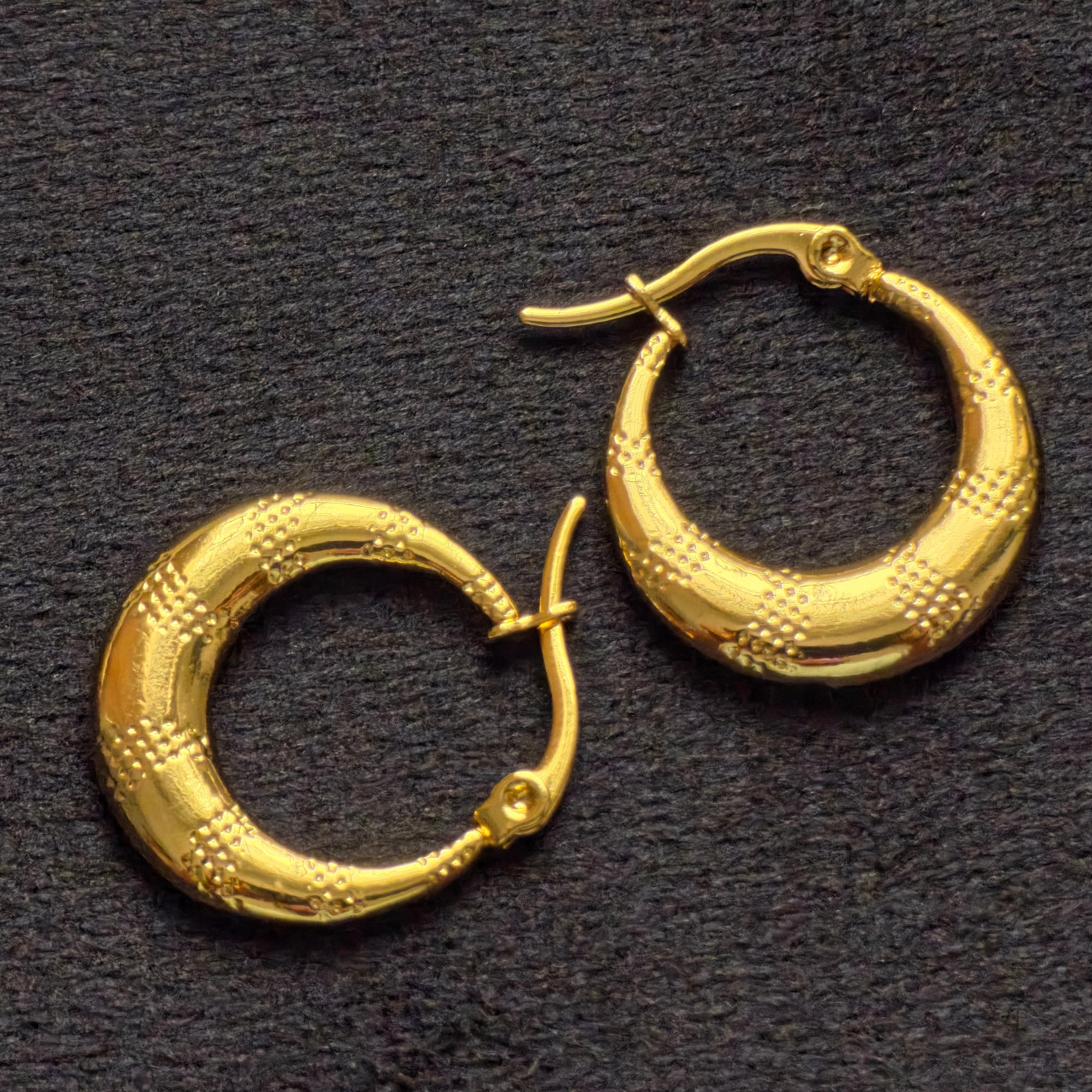 Western Earrings 23
