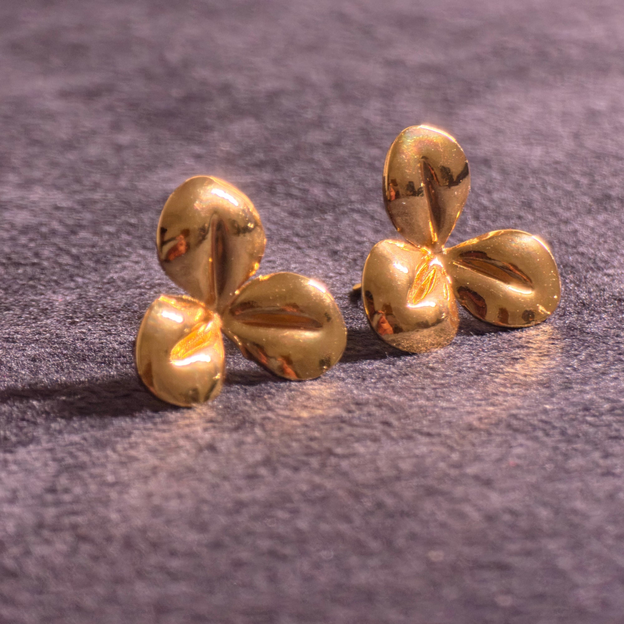Western Earrings 24