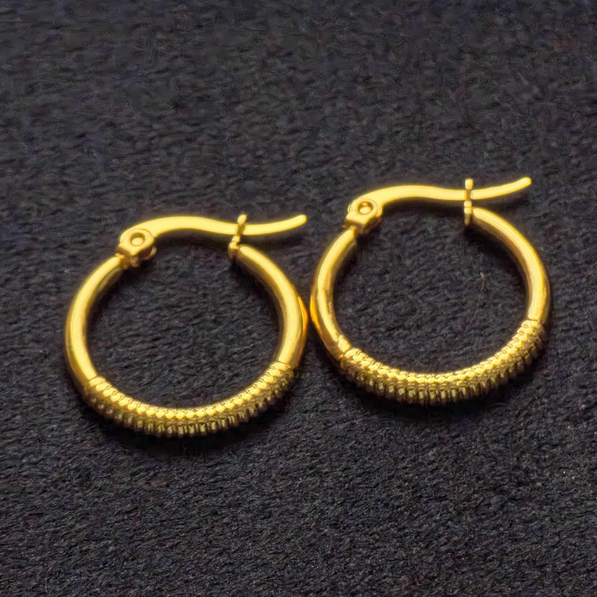 Western Earrings 25