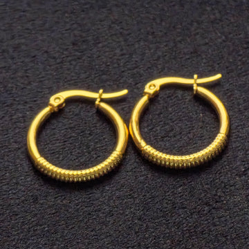 Western Earrings 25